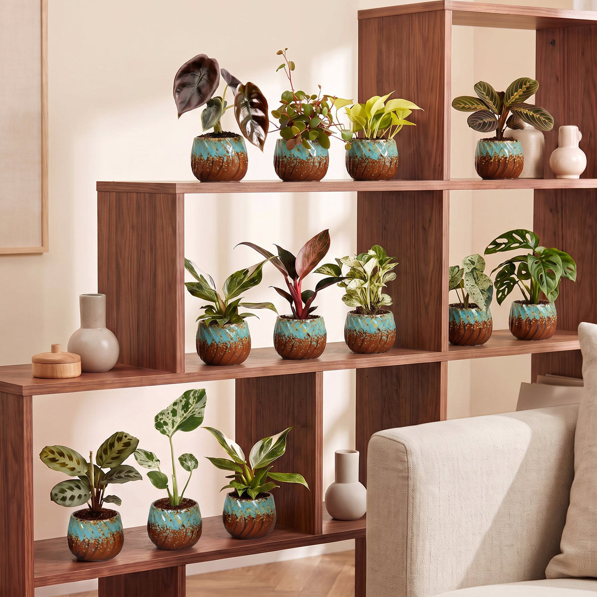 Baby Plants Surprise Box 12x - Verrassingsbox kleine planten - Diversen - Tropisch - incl. Copper Reef - Ø6cm - ↕5-15cm