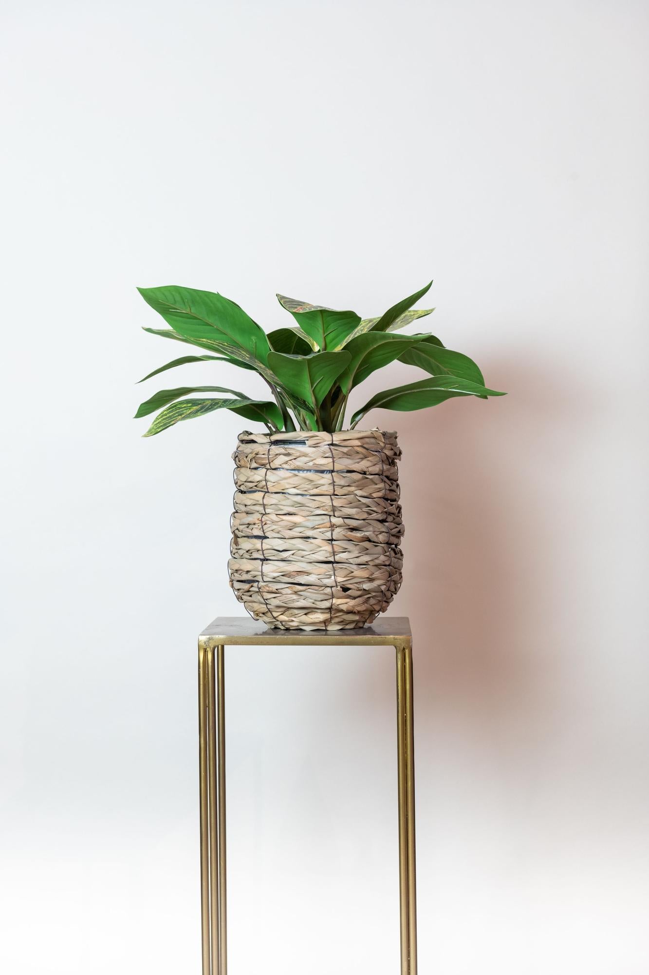 Pianta artificiale - Croton Codiaeum - Arbusto meraviglioso - 38 cm