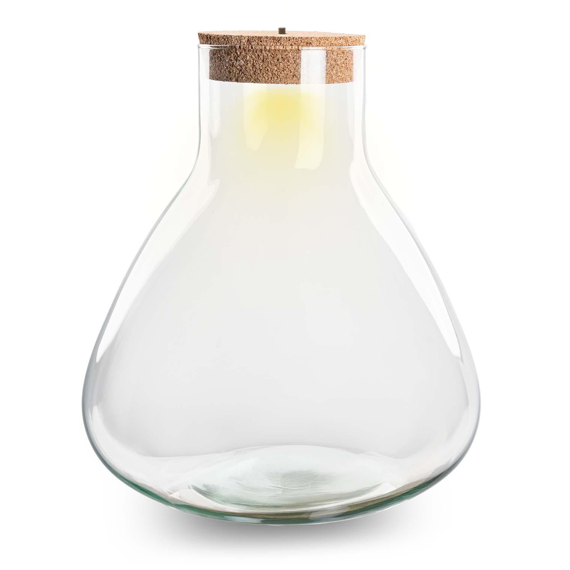 Terrariumflasche – Erlenmeyerkolben XL mit Beleuchtung im Korken – 32 cm hoch