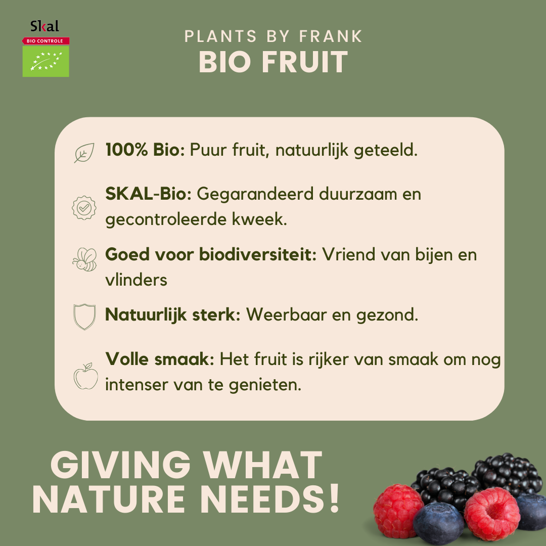 Biologische Fruitplanten mix set van 4 verschillende soorten