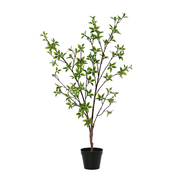 Kunstplant Myrtus - 83cm