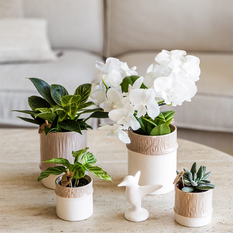 Kolibri Home | Tree sierpot - Sand - Ø9cm