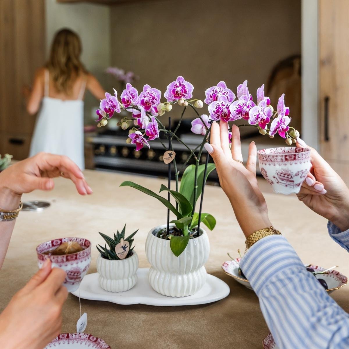 Kolibri Orchids | Roze-paarse Phalaenopsis orchidee - Diamond El Salvador - Ø9cm
