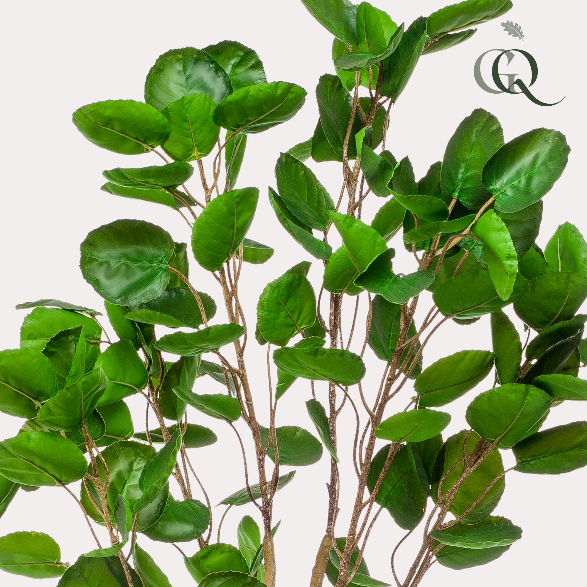 Pianta artificiale - Polyscias - Aralia - 150 cm