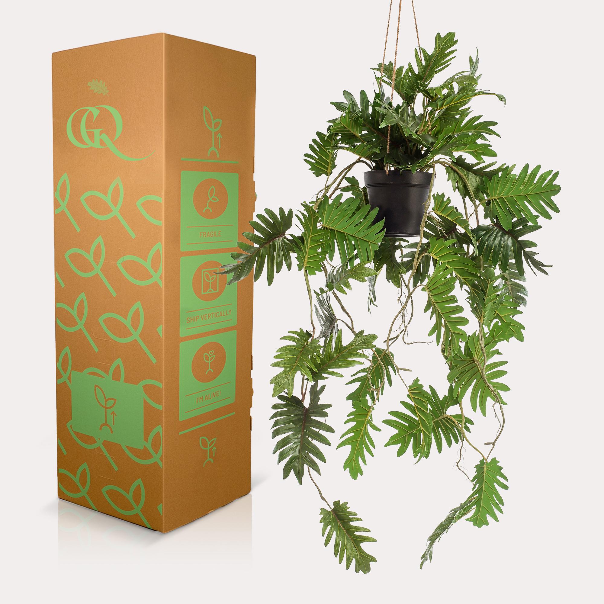 Pianta artificiale - Philodendron - Amante degli alberi rampicanti - 80 cm