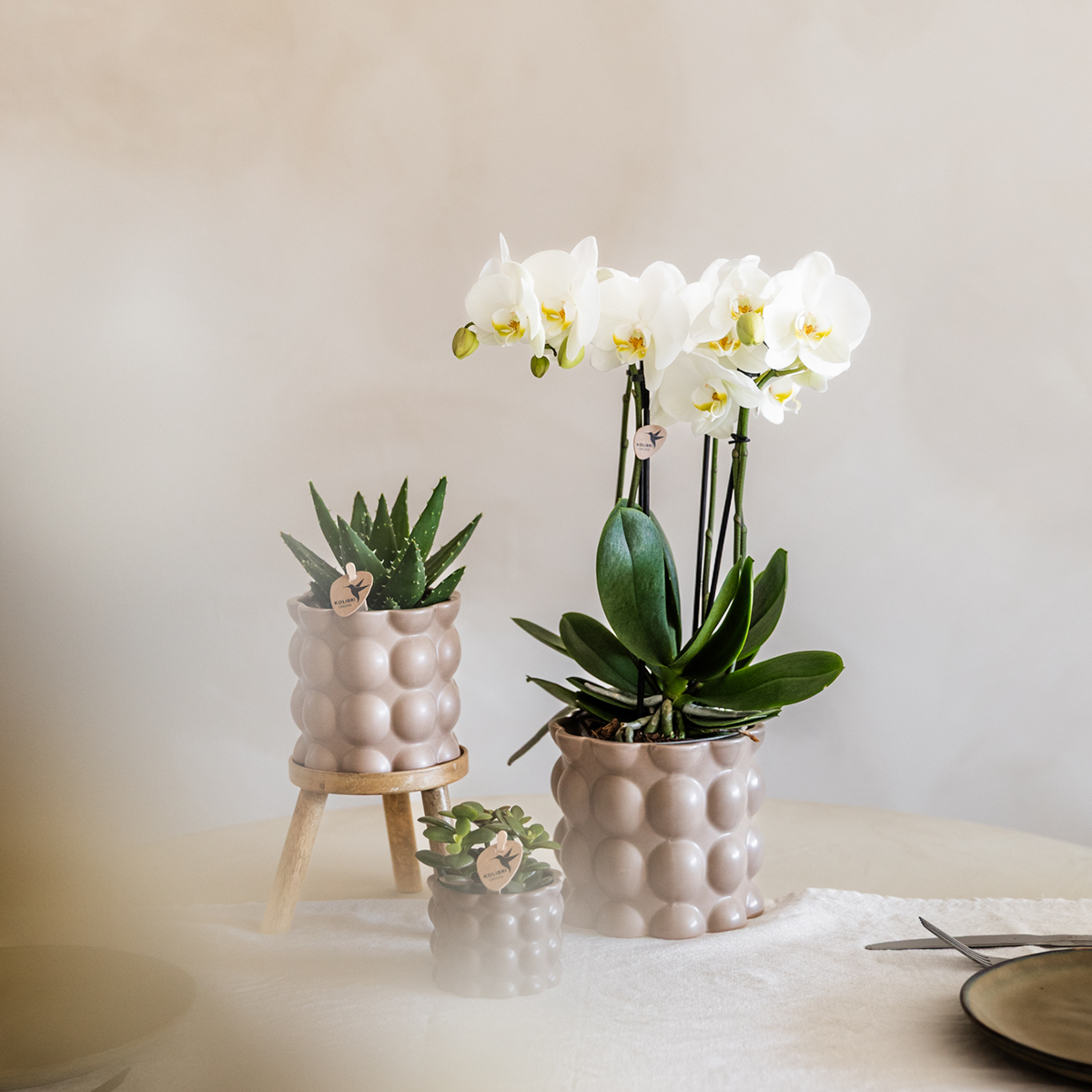 Kolibri Home | Dekorativer Baumwolltopf – Sand – Ø 9 cm