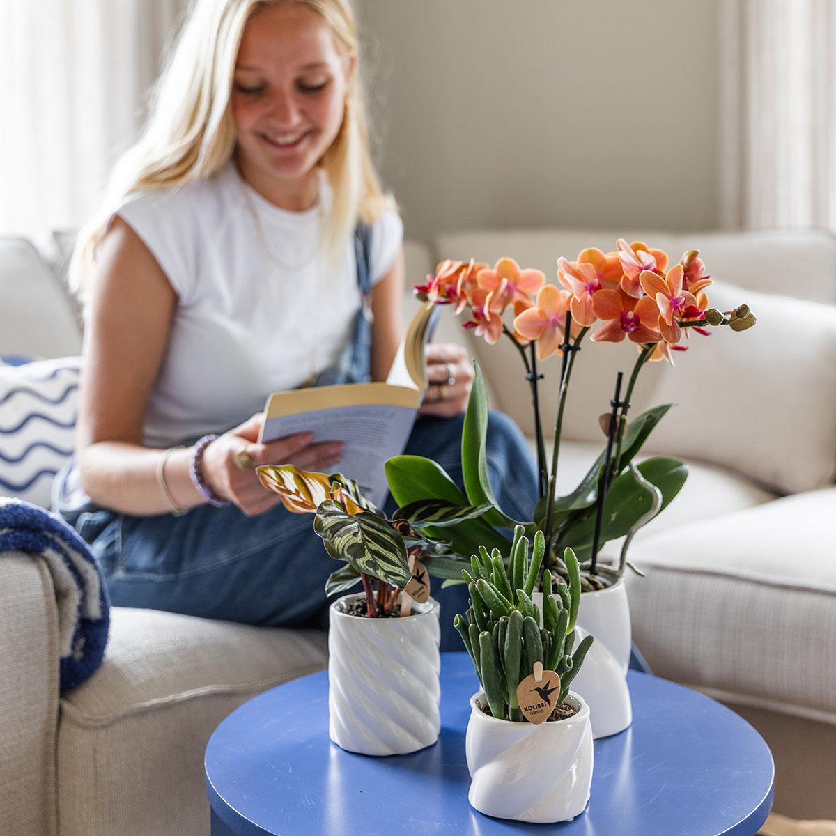 Kolibri Home | Dekorativer Blumentopf in Bonbonform – Weiß – Ø 9 cm