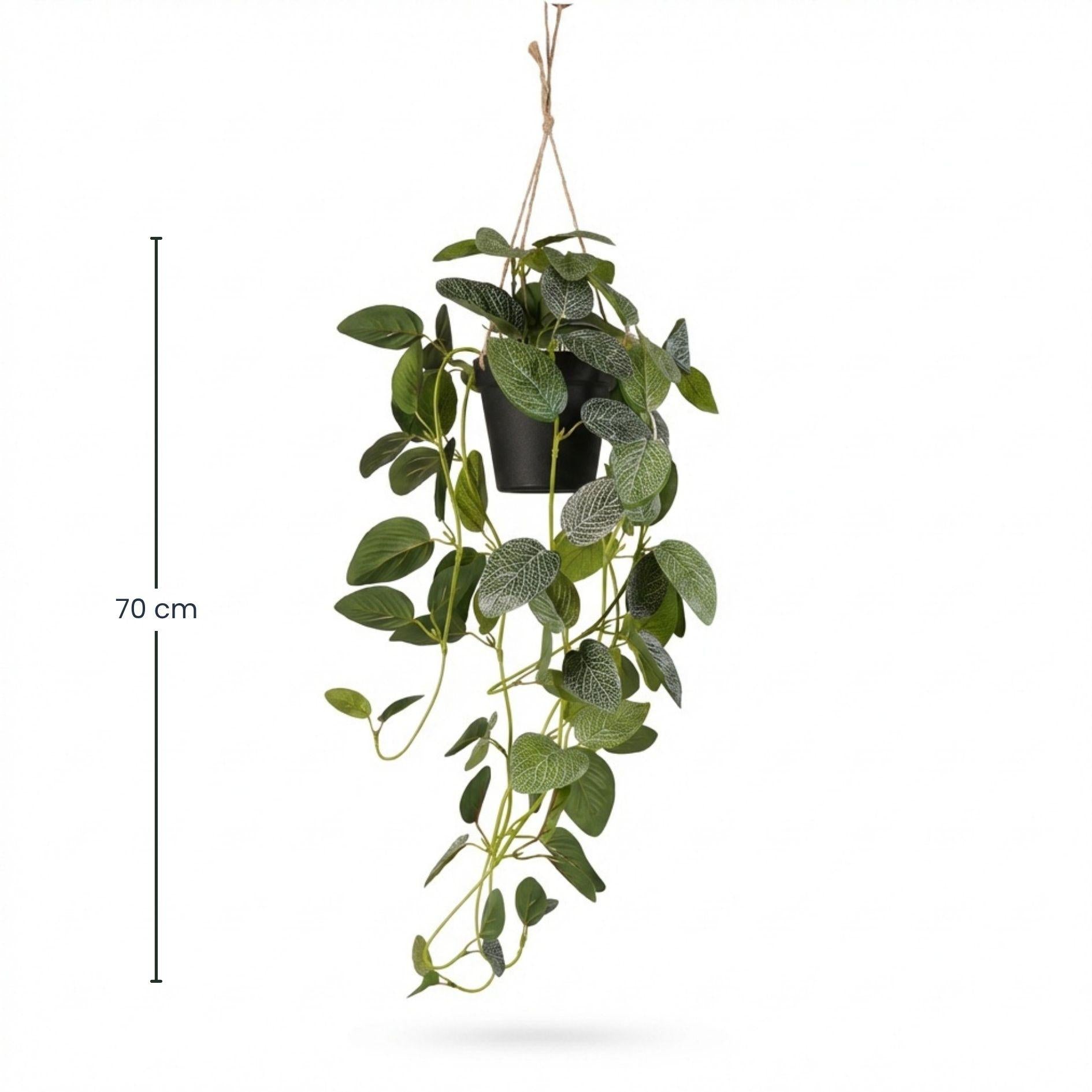 Fittonia - plante suspendue en pot - 70 cm - plante artificielle