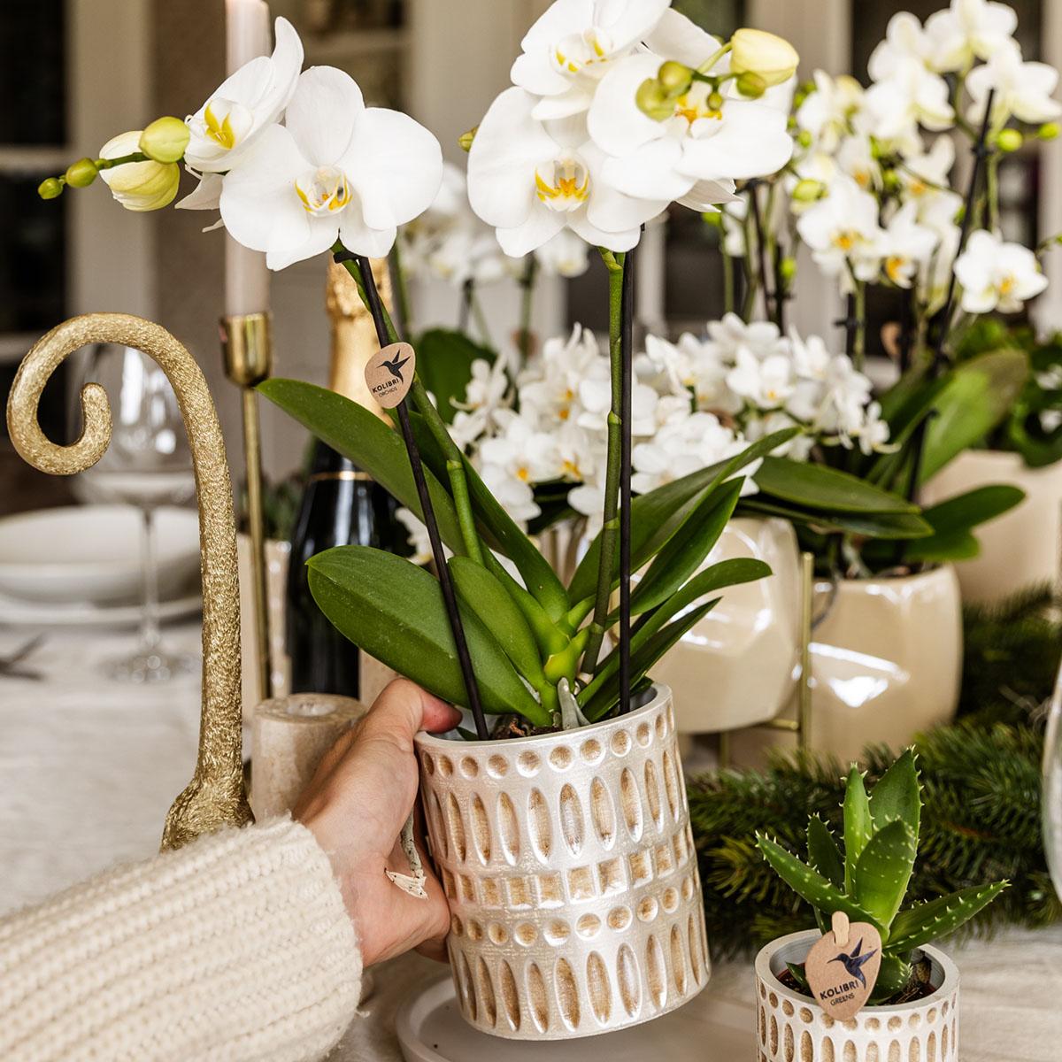 Kolibri Home | Pot décoratif mosaïque - Ø9cm