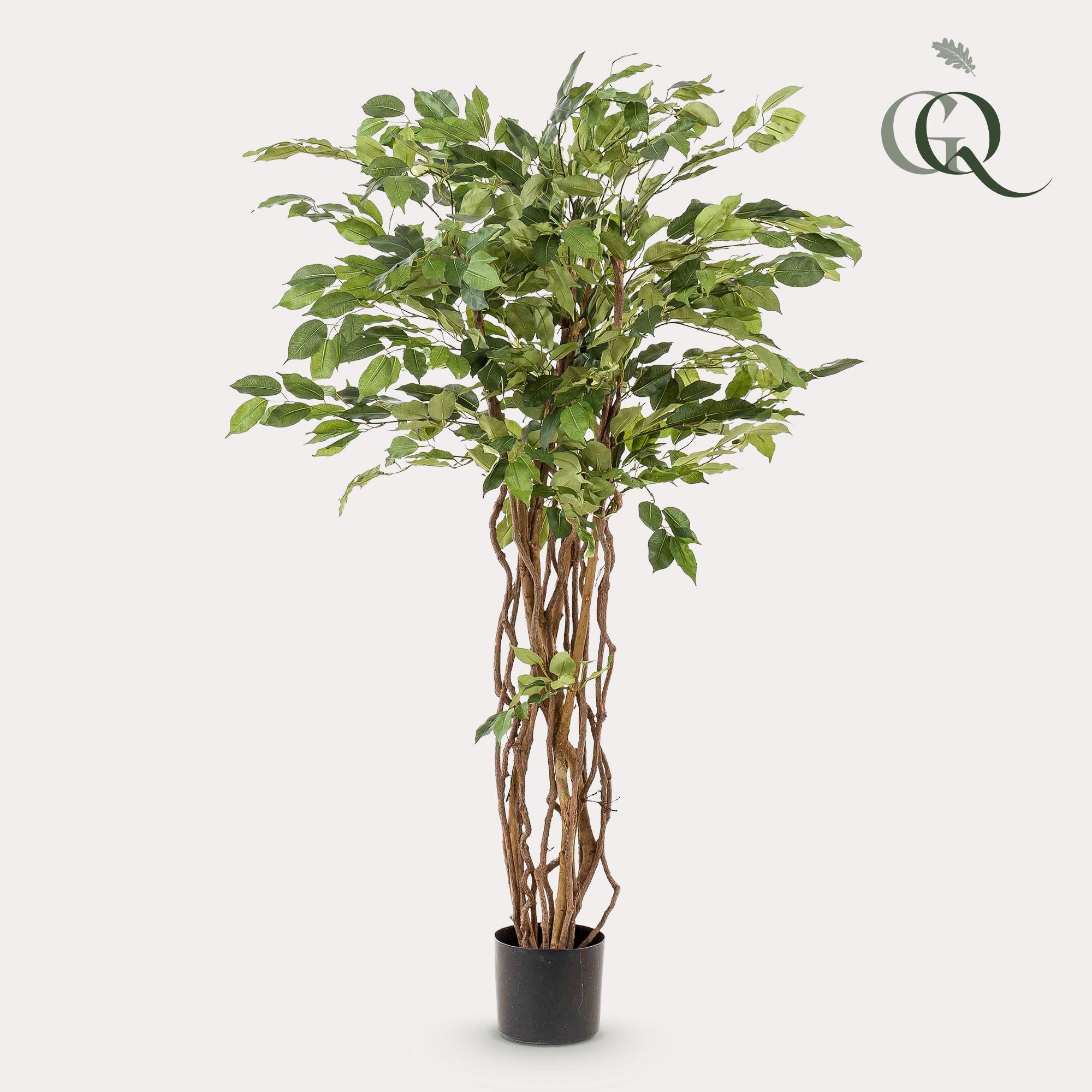 Kunstpflanze - Ficus liana - Geigenblattpflanze - 140cm