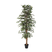 Kunstplant Ficus benjamina variegata - 205cm