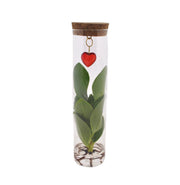 Mix In Tube Glass + Jewel (cuore) - Ø7cm - ↕15cm