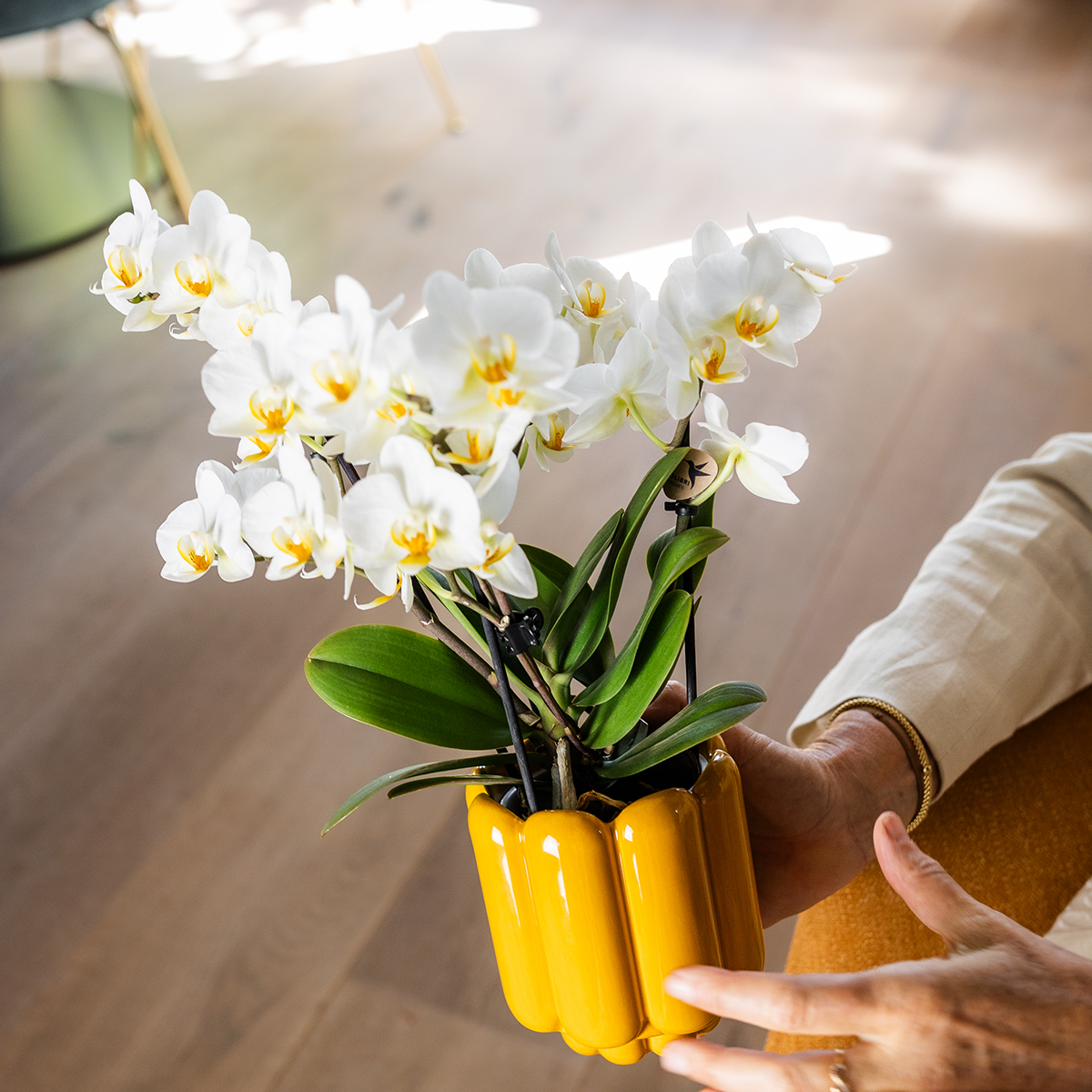 Kolibri Home | Retro Shine sierpot - Yellow - Ø12cm