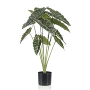 Alocasia 80cm - Pianta artificiale