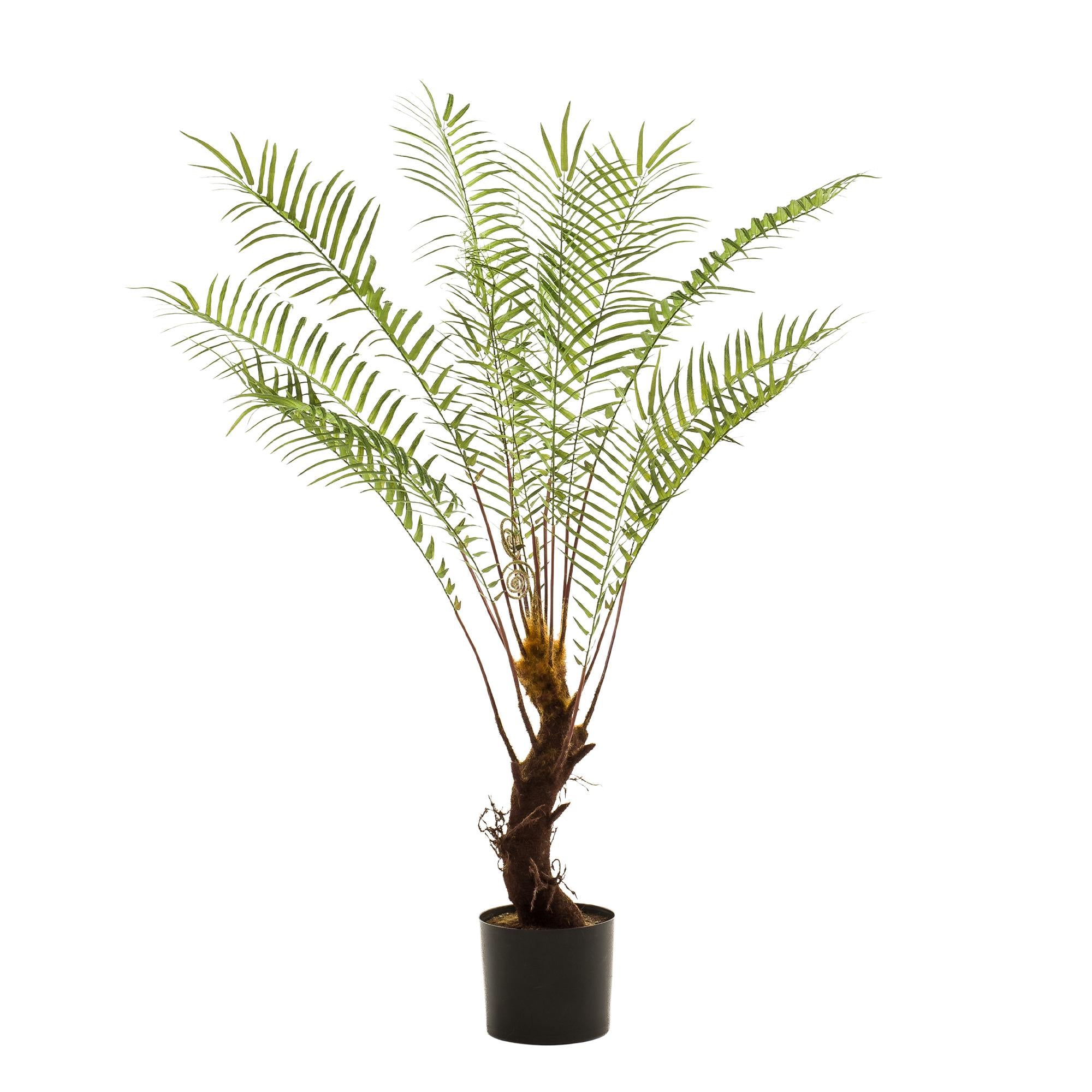 Künstliche Pflanze – Baumfarn – 15 Stück – 25 cm