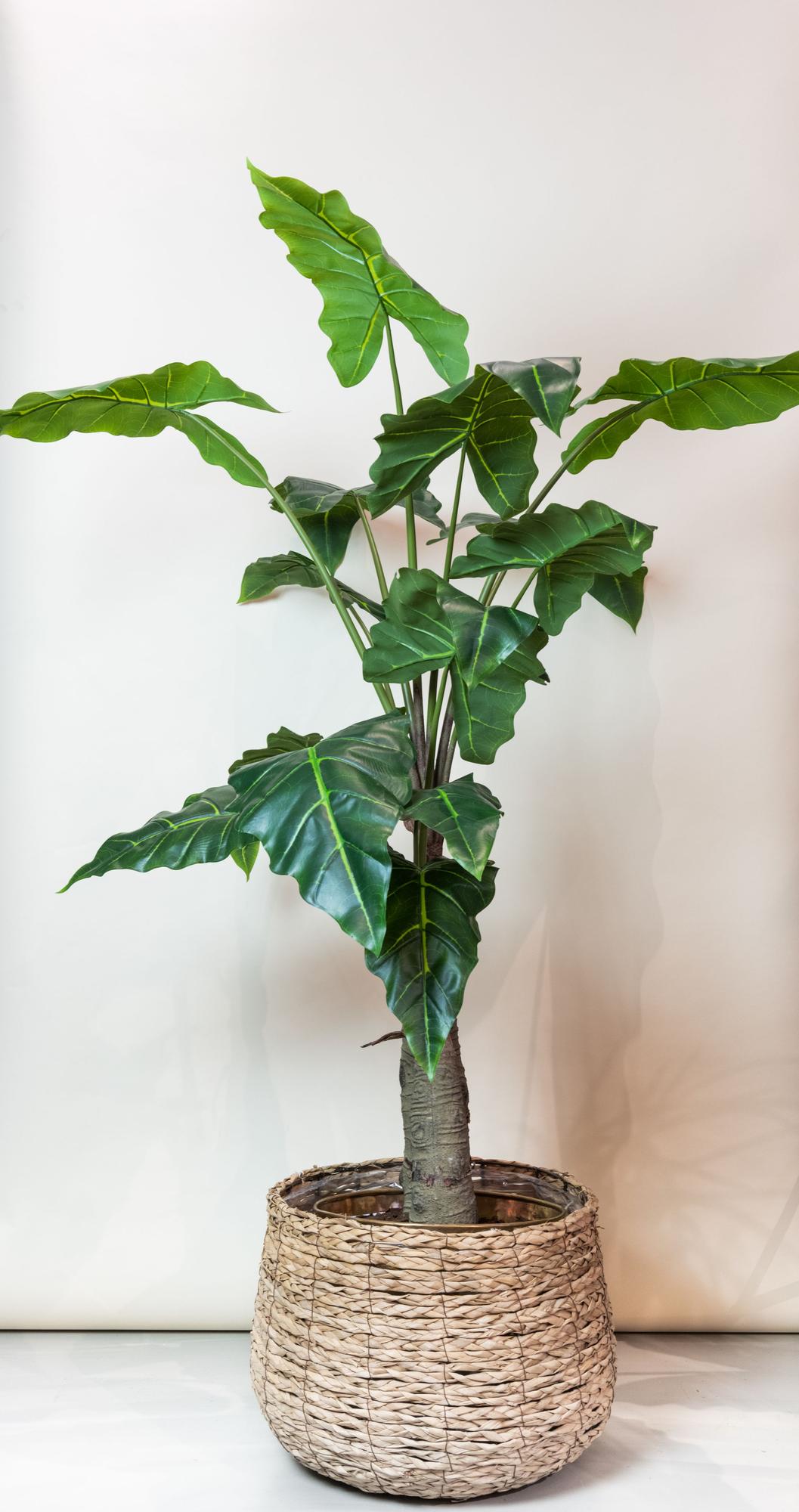Artificial plant - Alocasia - Elephant ear - 150 cm