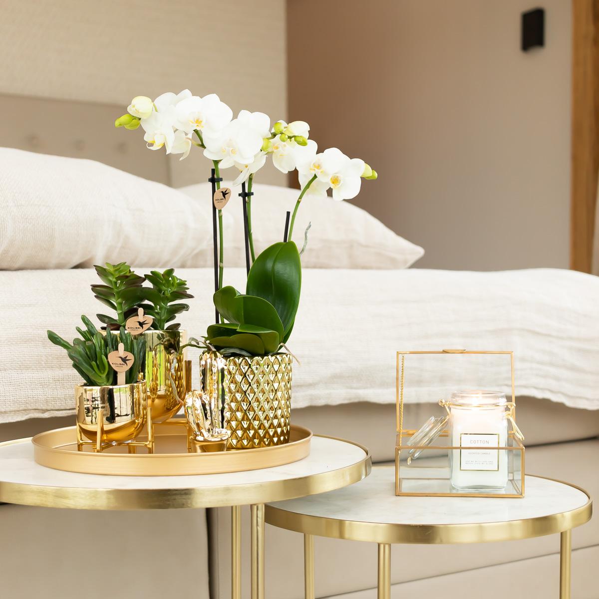 Kolibri Home | Metallischer Diamant-Blumentopf – Goldener Keramik-Dekorationstopf Ø 9 cm