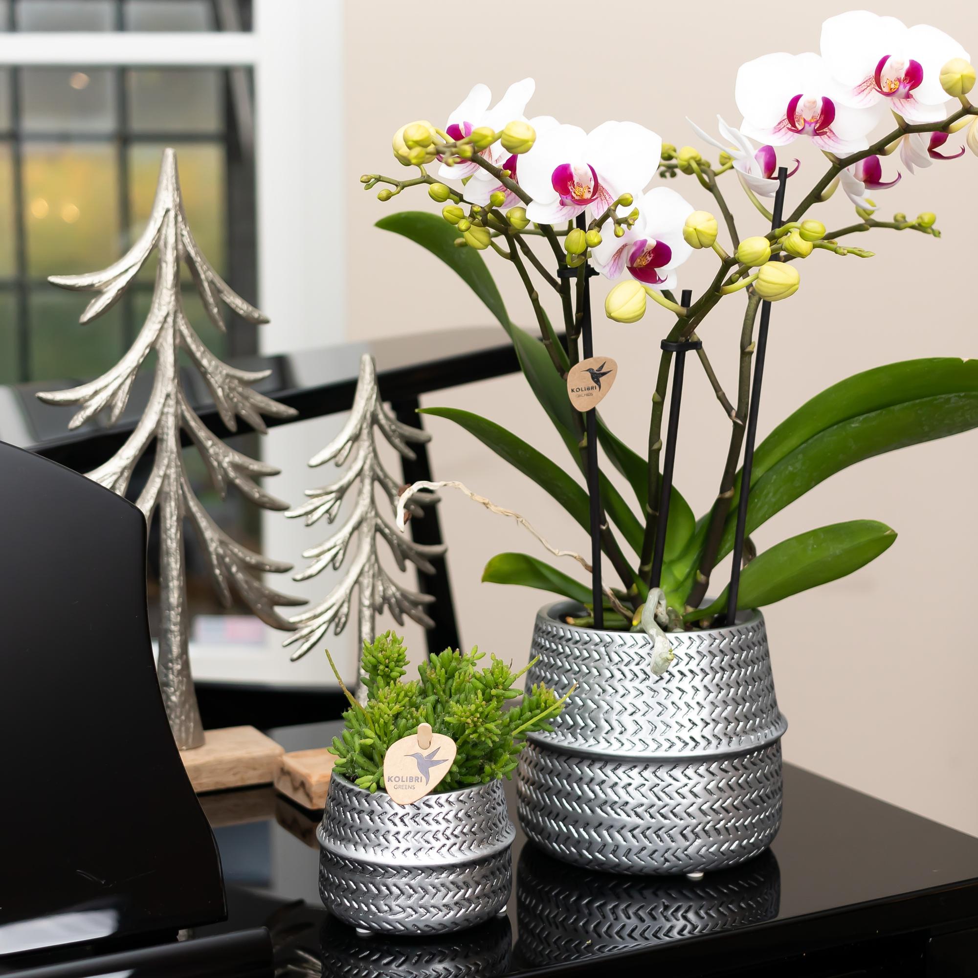 Kolibri Home | Groove bloempot - Zilveren keramieken sierpot - Ø9cm