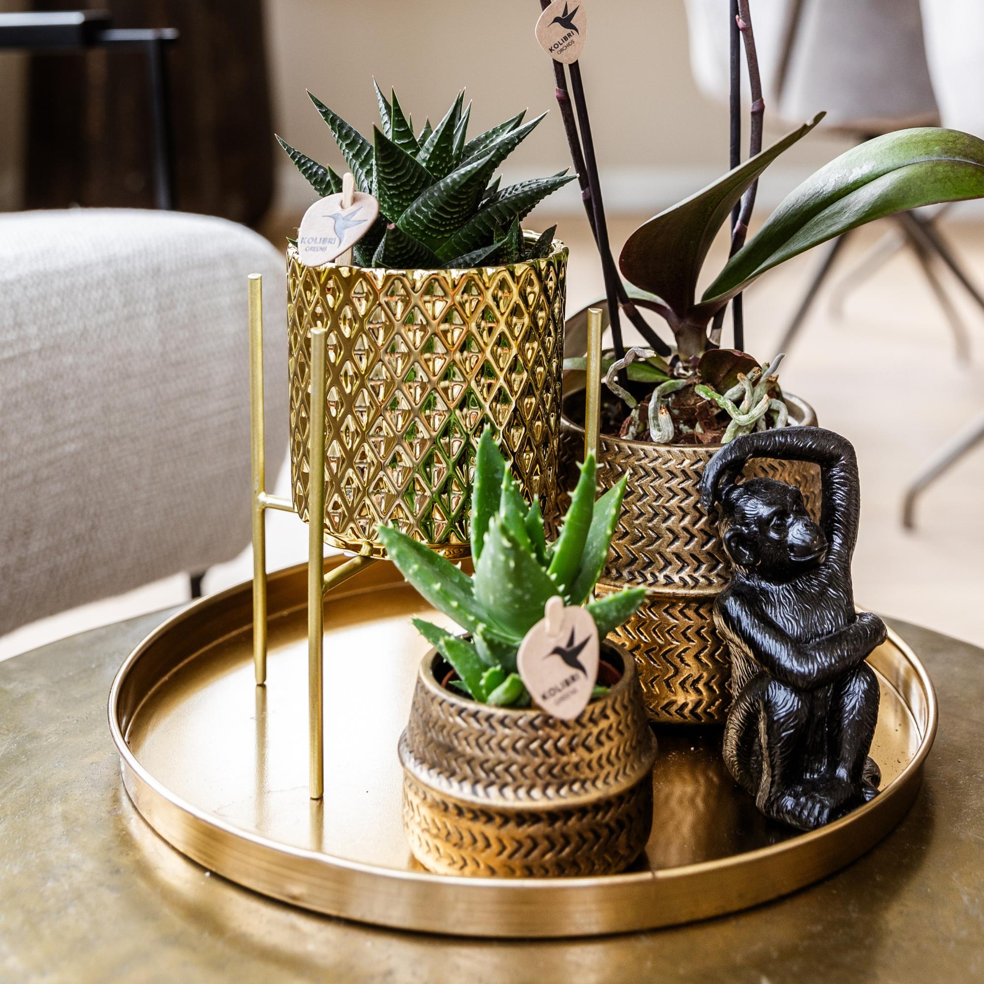 Kolibri Home | Plateau décoratif - Plateau rond doré Ø30cm