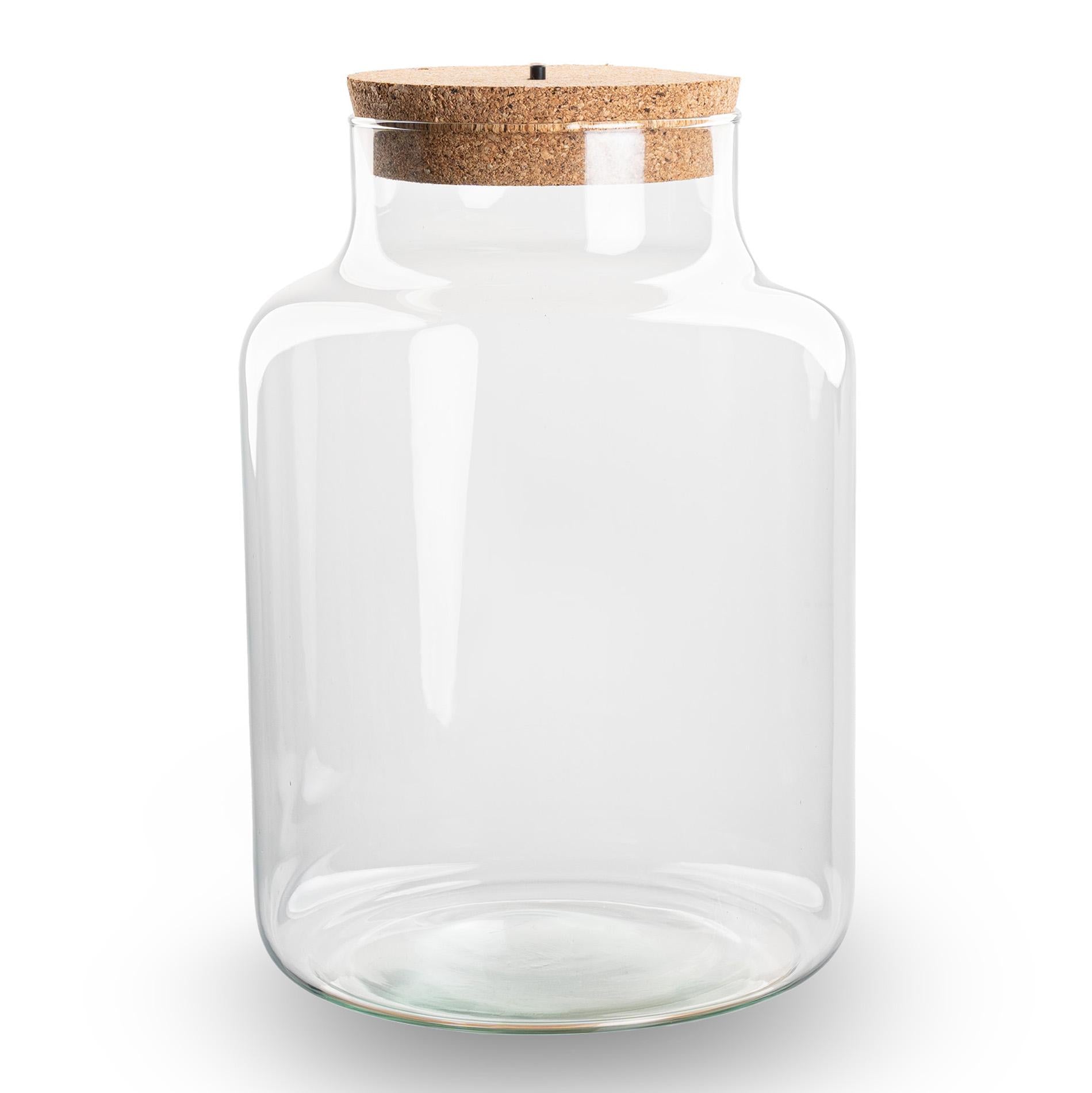 Little Milky Terrarium Bottle with Cork - Closed Large Terrarium ↑ 24.5 cm