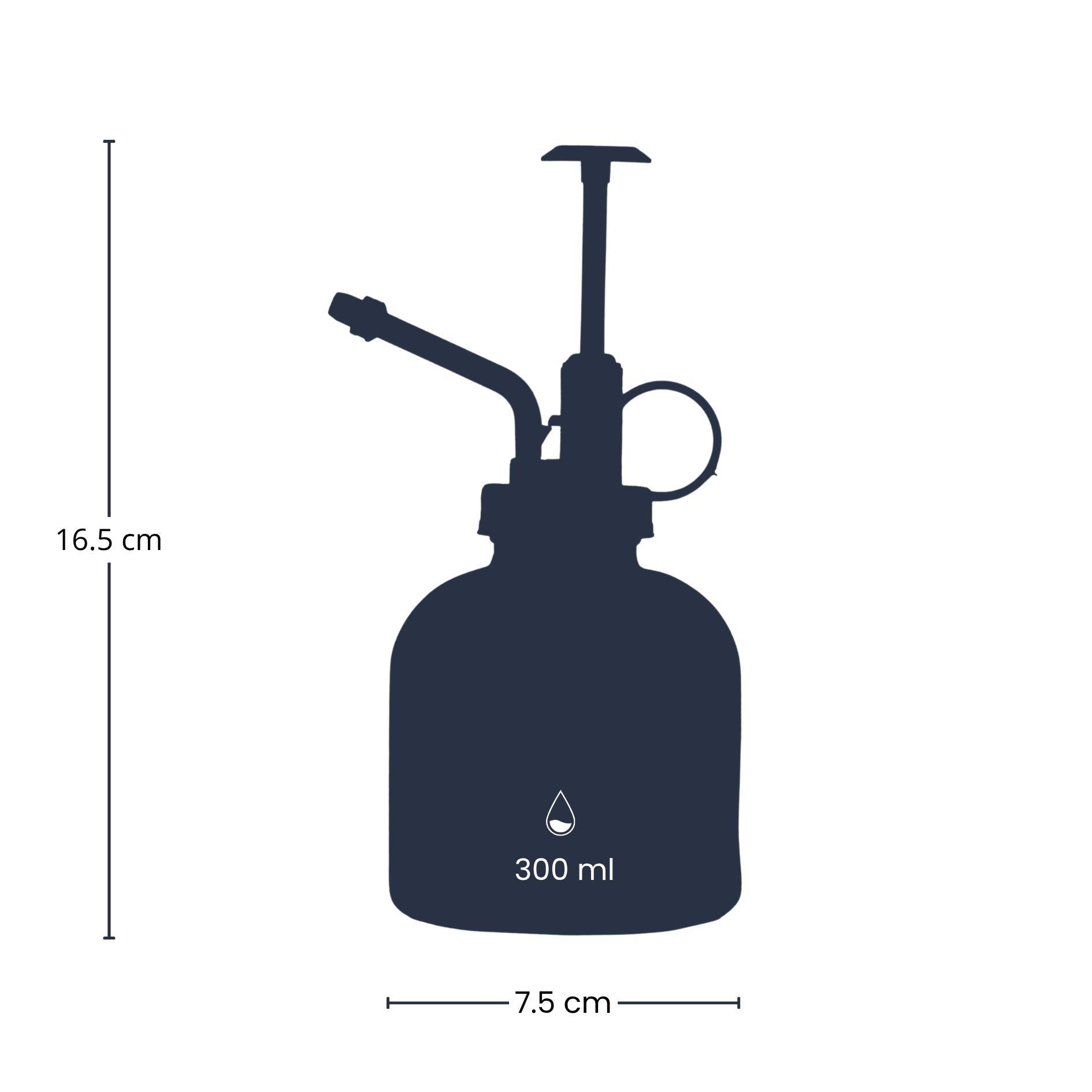 Plant sprayer - Clear glass with black - 300 ml