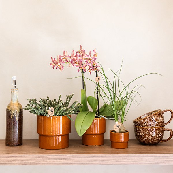 Kolibri Home | Timeless sierpot - Oranje - Ø9 cm