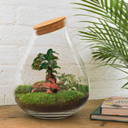 DIY-Terrarium – Drop XL Bonsai – ↕ 37 cm – Rechen + Schaufel