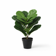 Kunstplant - Ficus lyrata - 40cm