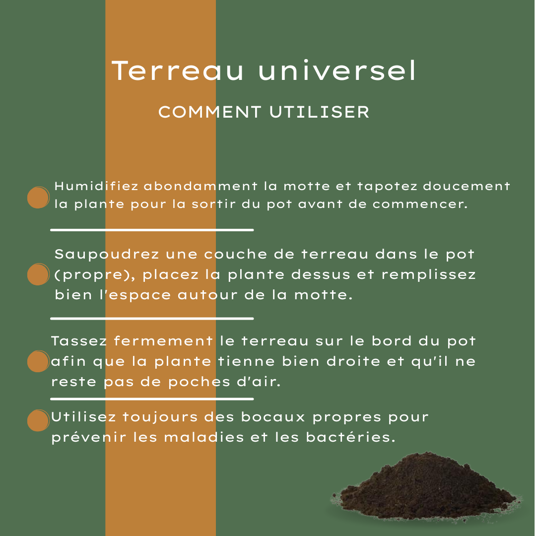 Potgrond Universeel 30 Liter Kopen – Voor Binnen- en Buitenplanten