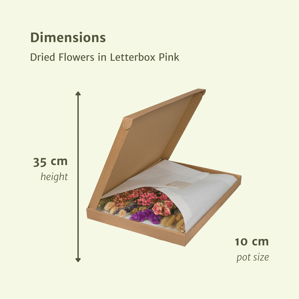 Getrocknete Blumen im Briefkasten – Rosa