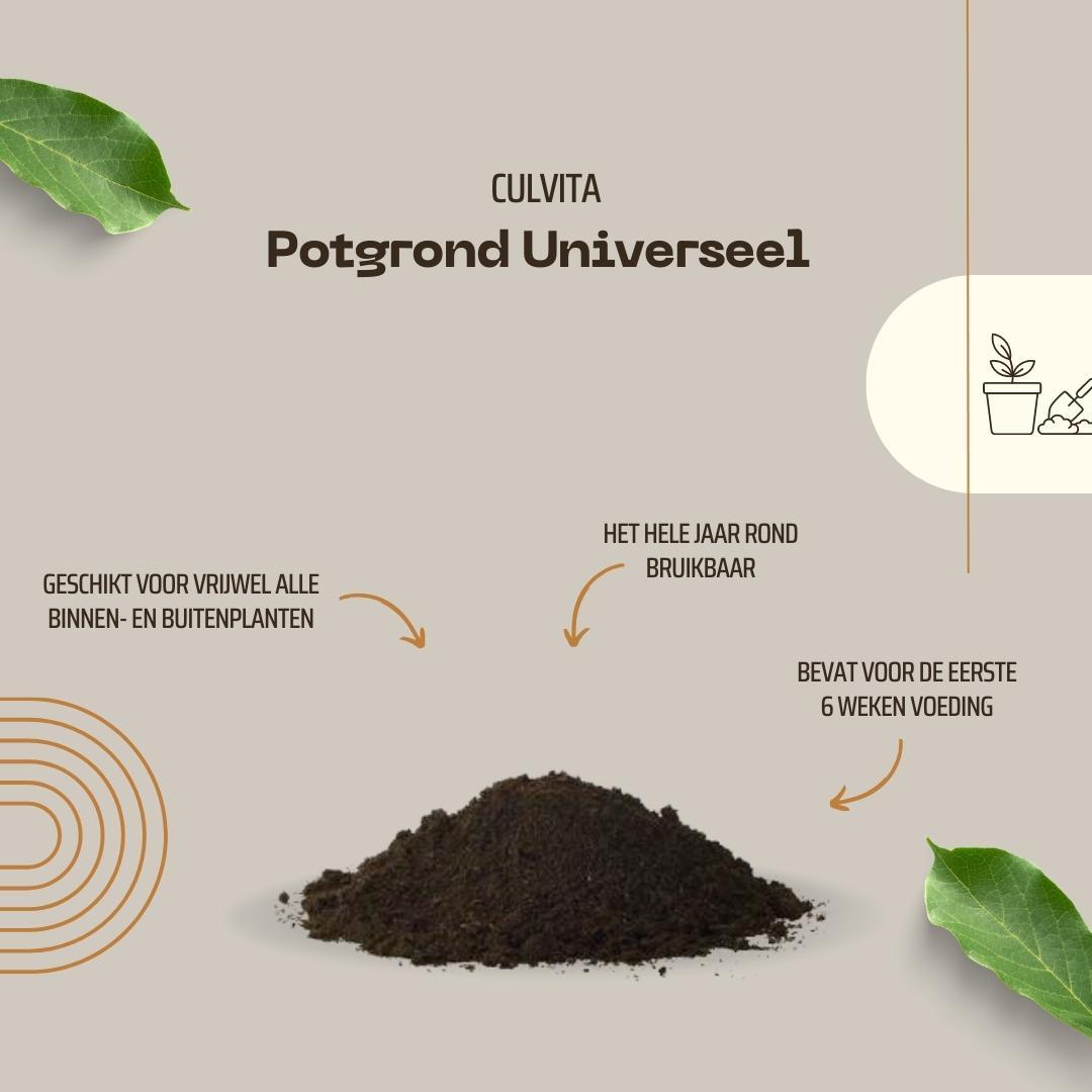 Terreau universel Culvita avec 2 mois d'engrais - Terreau universel pour plantes d'intérieur et d'extérieur - 40 litres