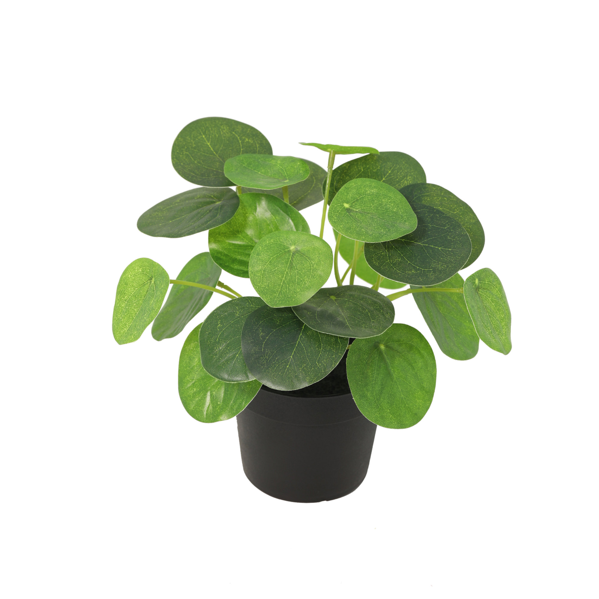 Kunstplant Pilea peperomioides - 17,5cm