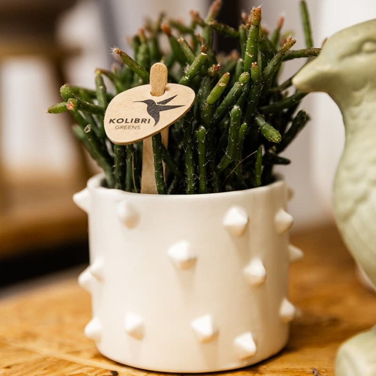 Kolibri Home | Spike sierpot - Wit - Ø6cm