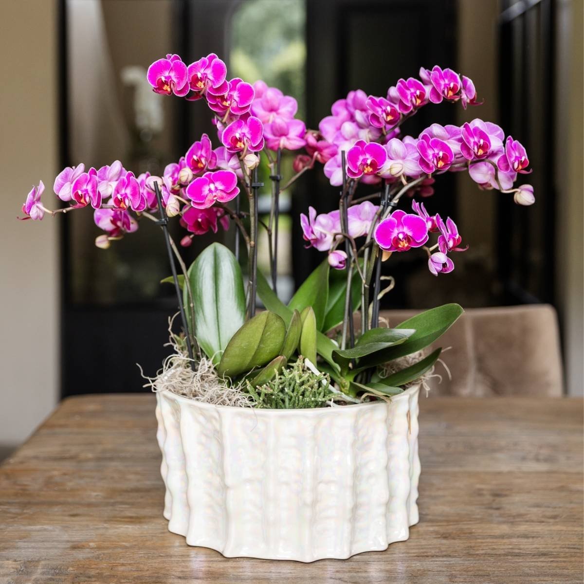 Kolibri Home | Oyster schaal - Ø30 cm