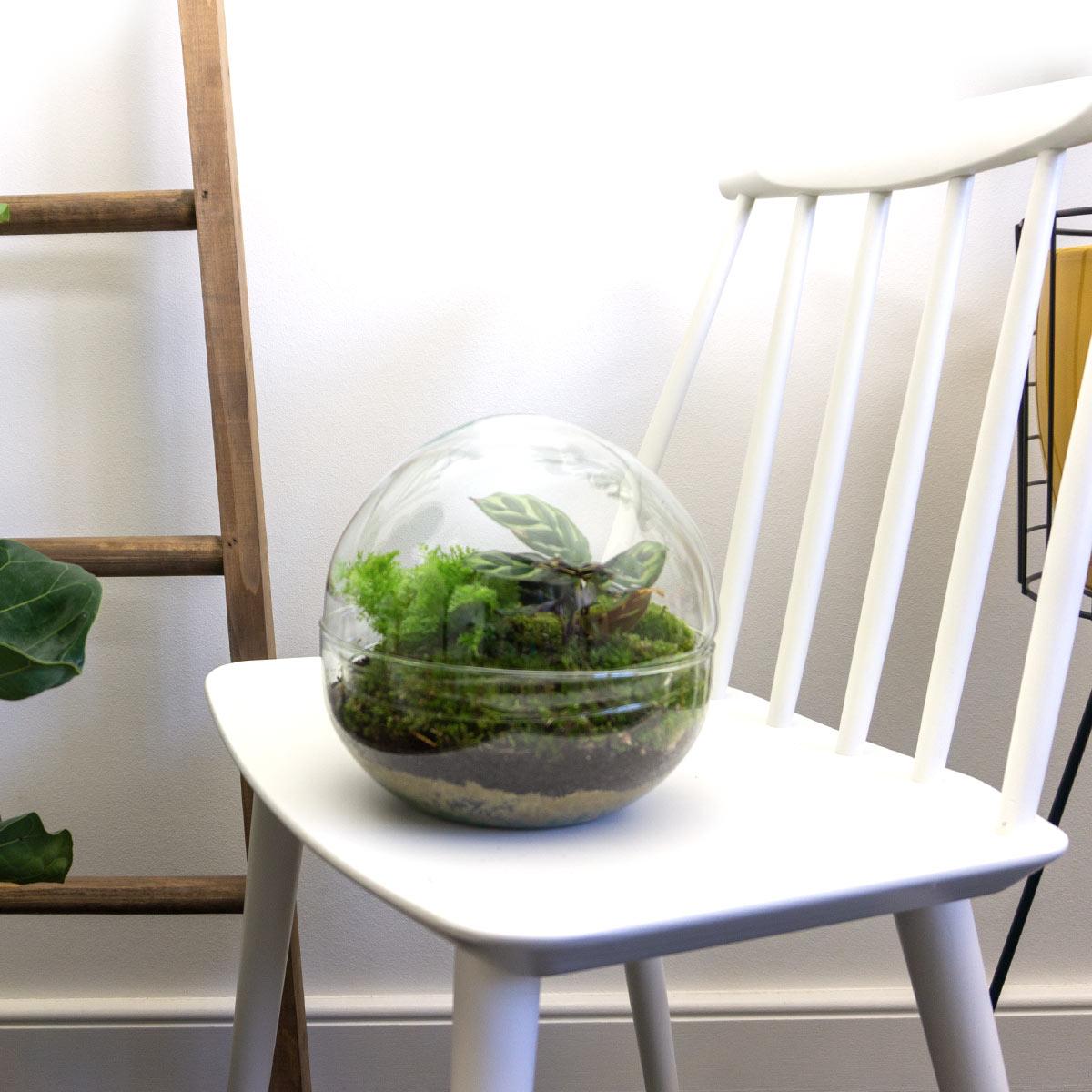 DIY-Terrarium – Kuppel – ↕ 20 cm – Rechen + Schaufel + Pinzette + Schere