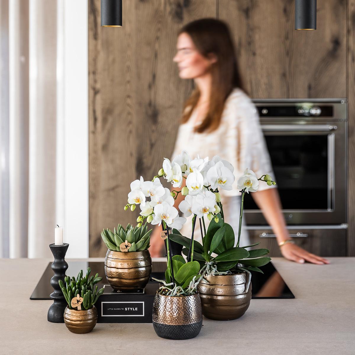 Kolibri Home | Elite pot copper  - Ø9cm