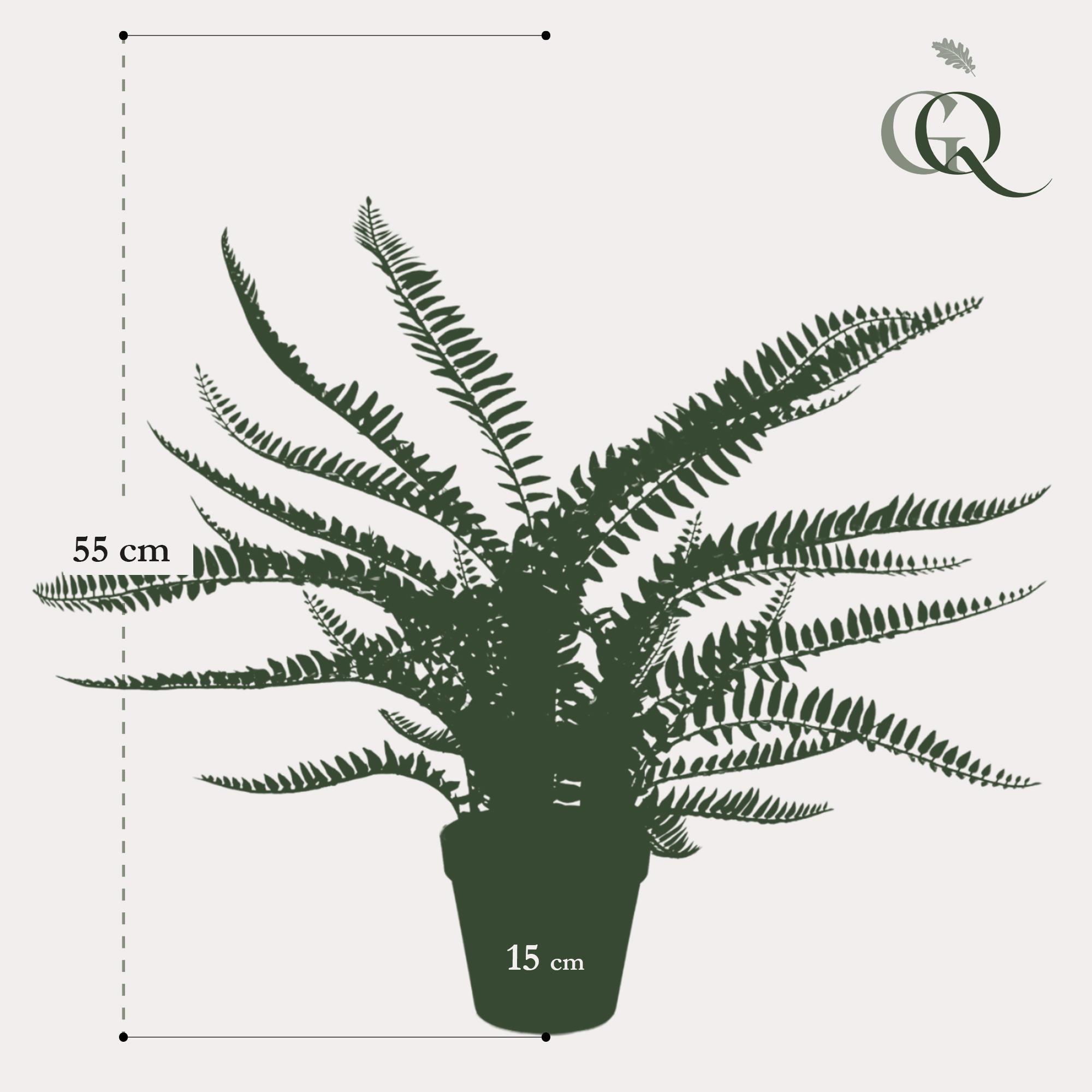 Pianta artificiale - Nephrolepis Exaltata - Felce di Boston - 55 cm