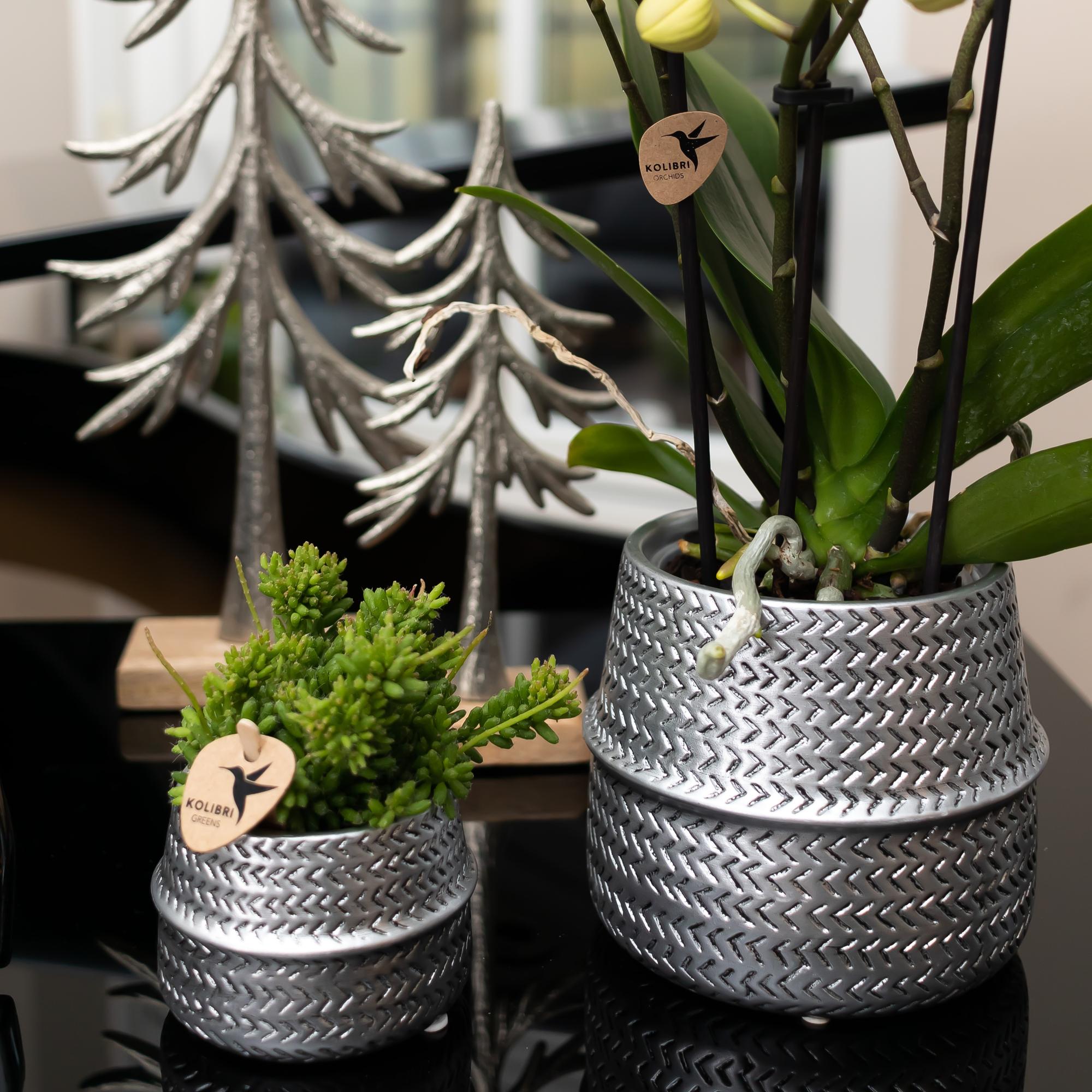 Kolibri Home | Groove flowerpot - Silver ceramic decorative pot - Ø12cm