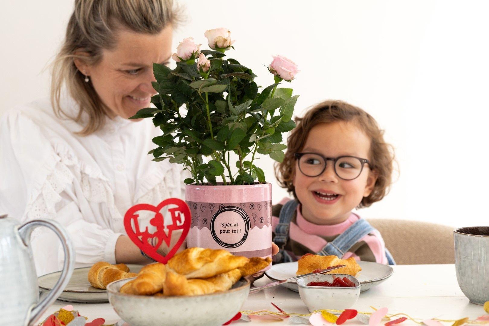 Rosa Light Pink In P&PURE "SPECIAL POUR TOI" Packaging - Ø12cm - ↕30cm