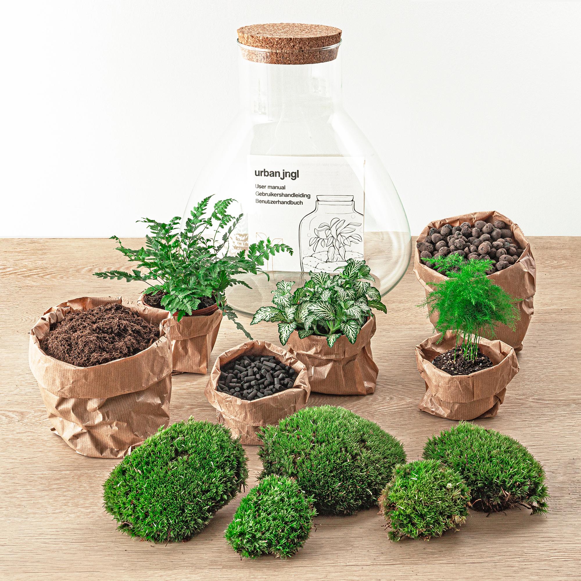 DIY terrarium - Sam XL - ↕ 35 cm - Rake + Shovel