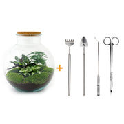 DIY terrarium - Bolder Bob - ↕ 30 cm - Rake + Shovel + Tweezer + Scissors