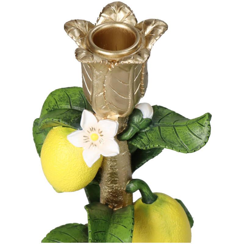 Candeliere con pianta di limone - ↑ 22 cm
