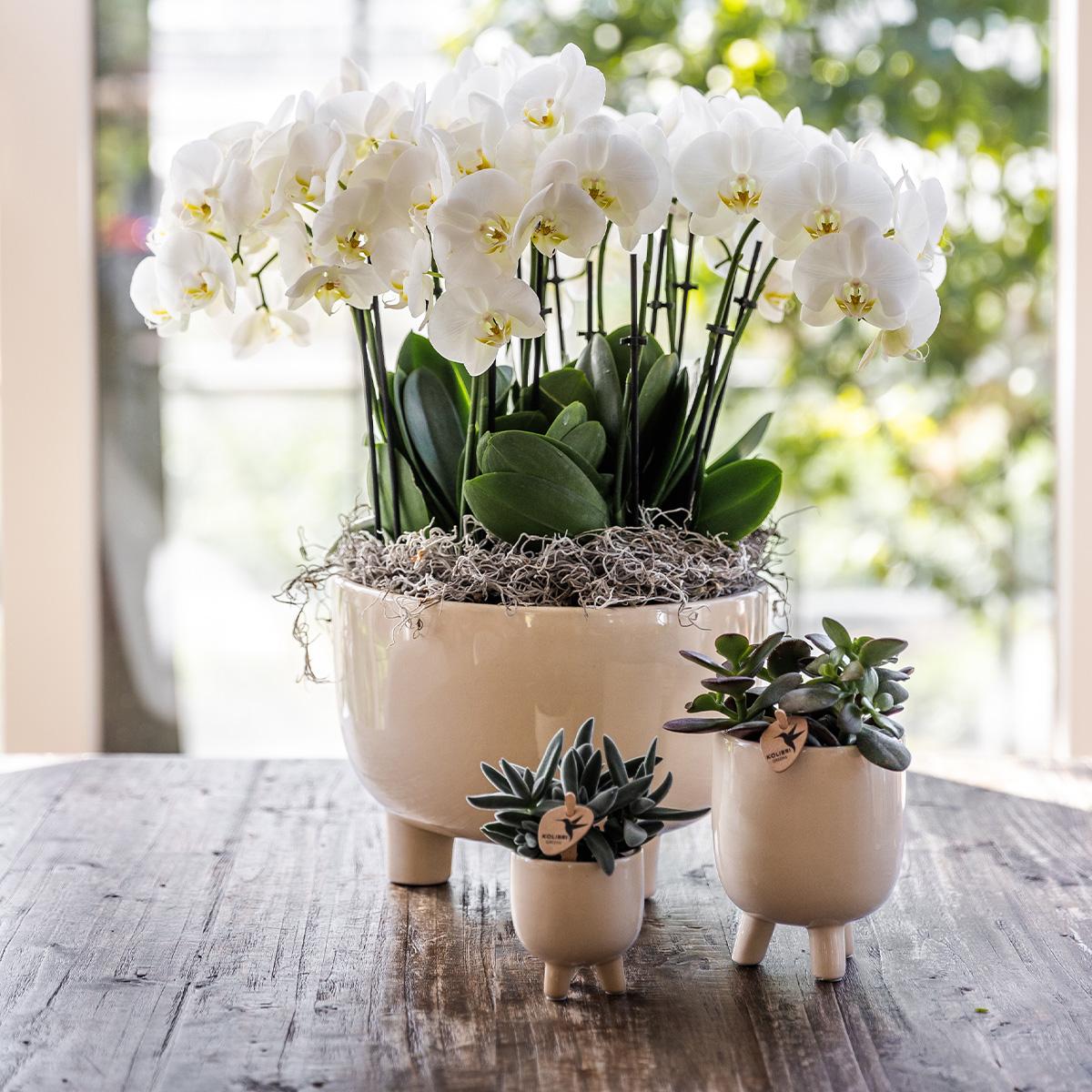 Kolibri Home | Gummierter Travertin-Topf - Ø 9 cm