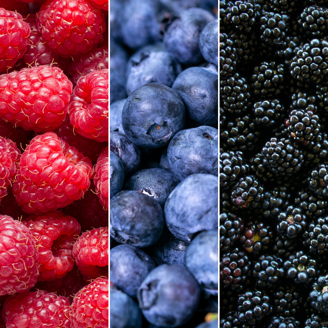 Biologische Fruitplanten mix set van 3 verschillende soorten