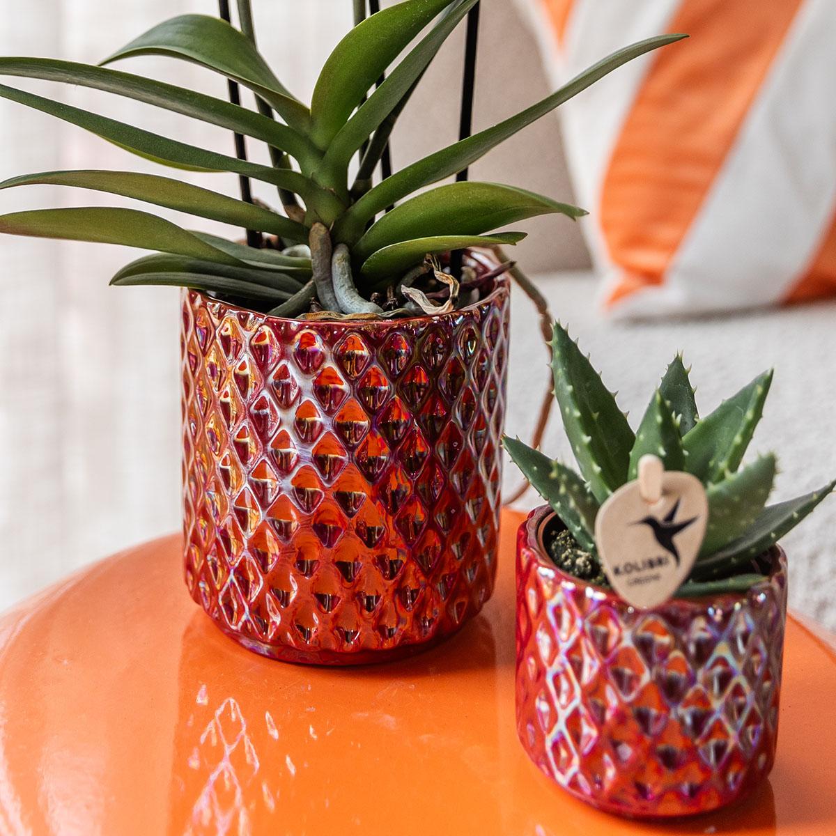 Kolibri Home | Diamond pearl sierpot - Red - Ø9cm