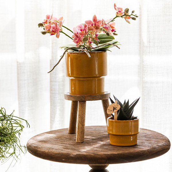 Kolibri Home | Timeless sierpot - Geel - Ø6 cm