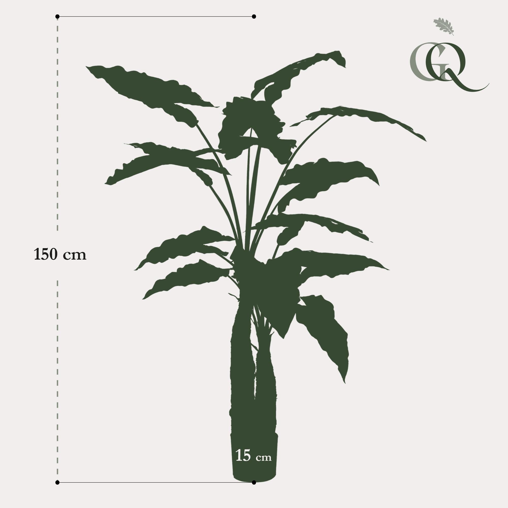 Artificial plant - Alocasia - Elephant ear - 150 cm