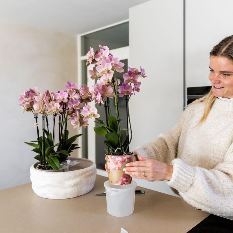 Kolibri Home | Como sierpot incl. watergeefsysteem - Ø12cm