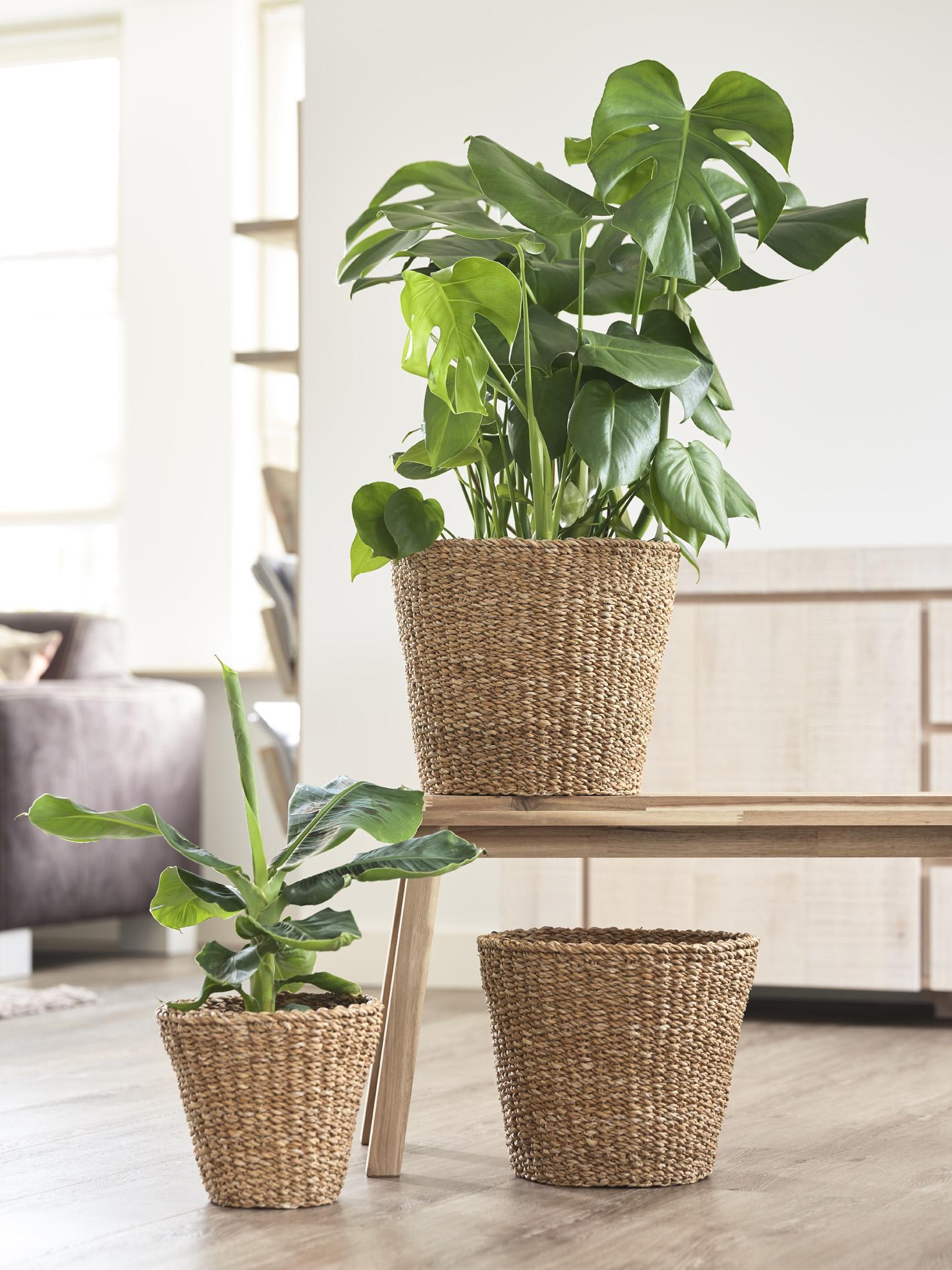 Cesta - Marrón claro - Jip Natural - M - Alto 23 Ancho 26