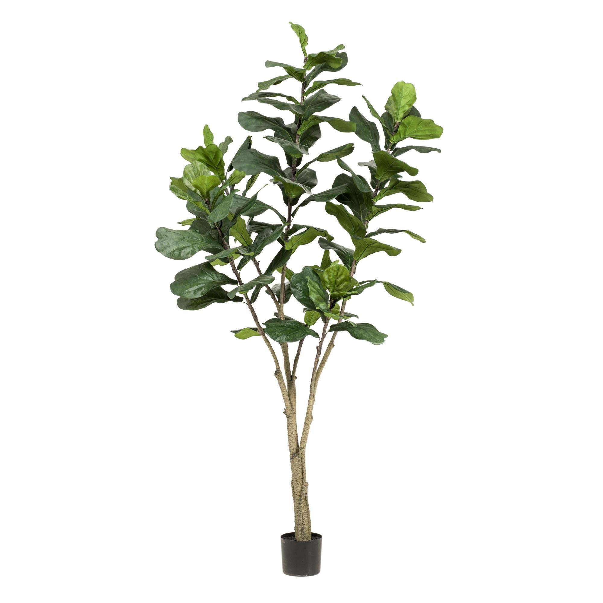 Künstliche Pflanze – Ficus lyrata – Tabakpflanze – 210 cm